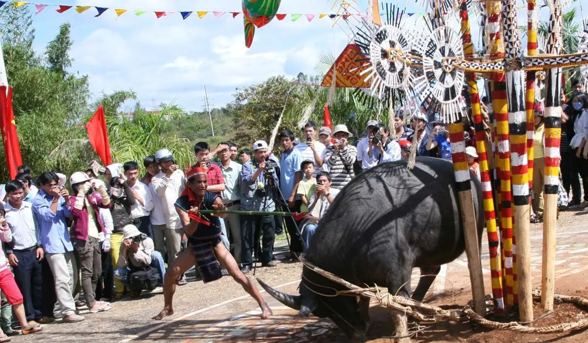 H&ograve;a m&igrave;nh v&agrave;o Lễ hội đ&acirc;m tr&acirc;u cực nhộn nhịp tại Gia Lai 6