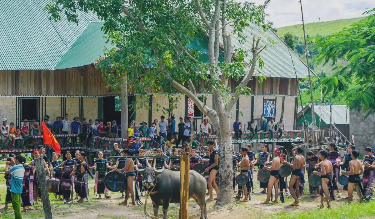 H&ograve;a m&igrave;nh v&agrave;o Lễ hội đ&acirc;m tr&acirc;u cực nhộn nhịp tại Gia Lai 4