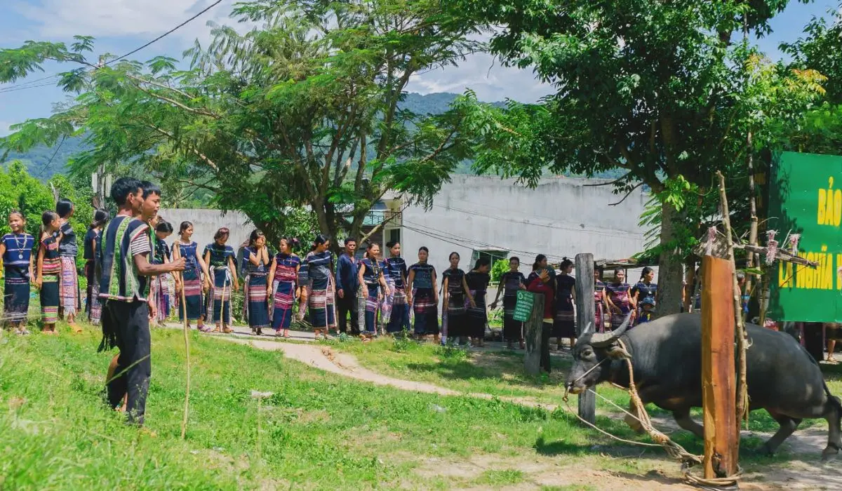 H&ograve;a m&igrave;nh v&agrave;o Lễ hội đ&acirc;m tr&acirc;u cực nhộn nhịp tại Gia Lai 3