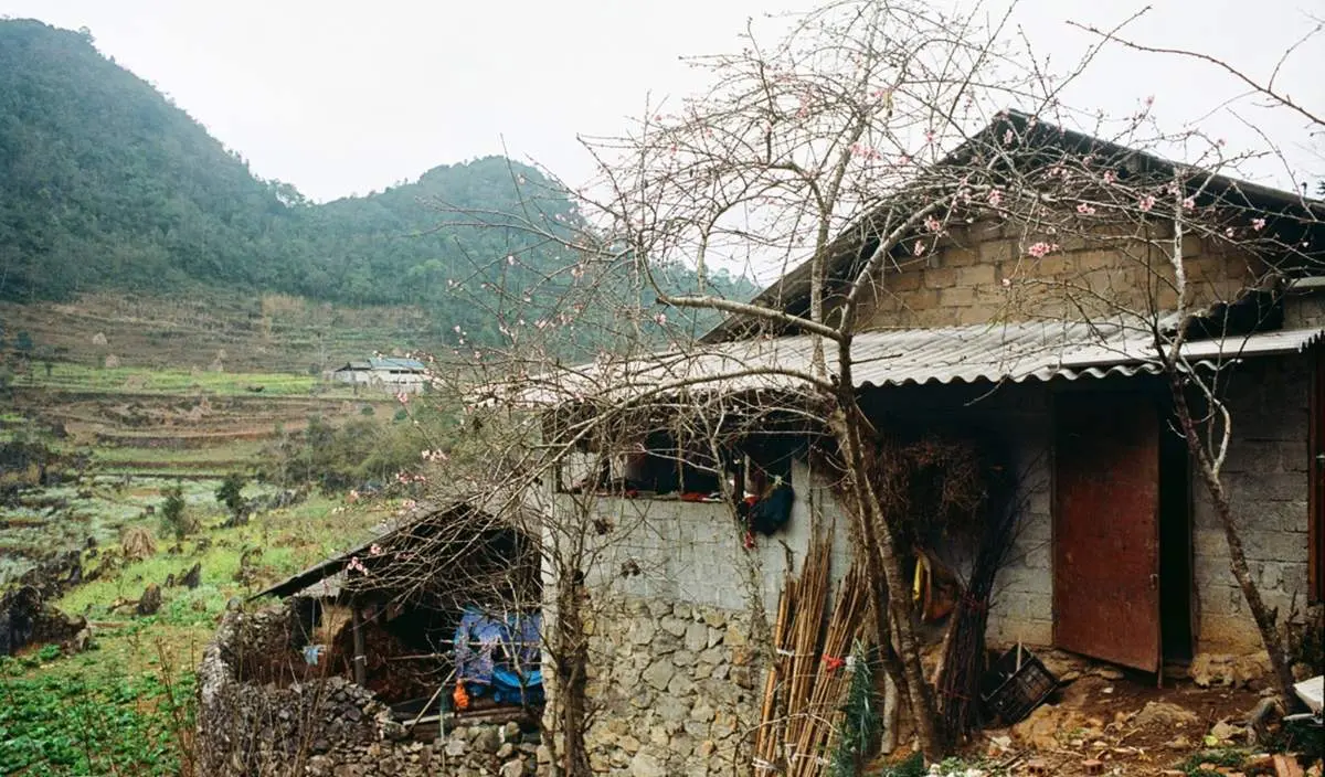 4 khu nhà cổ ở Hà Giang với vẻ đẹp êm đềm đậm chất thơ