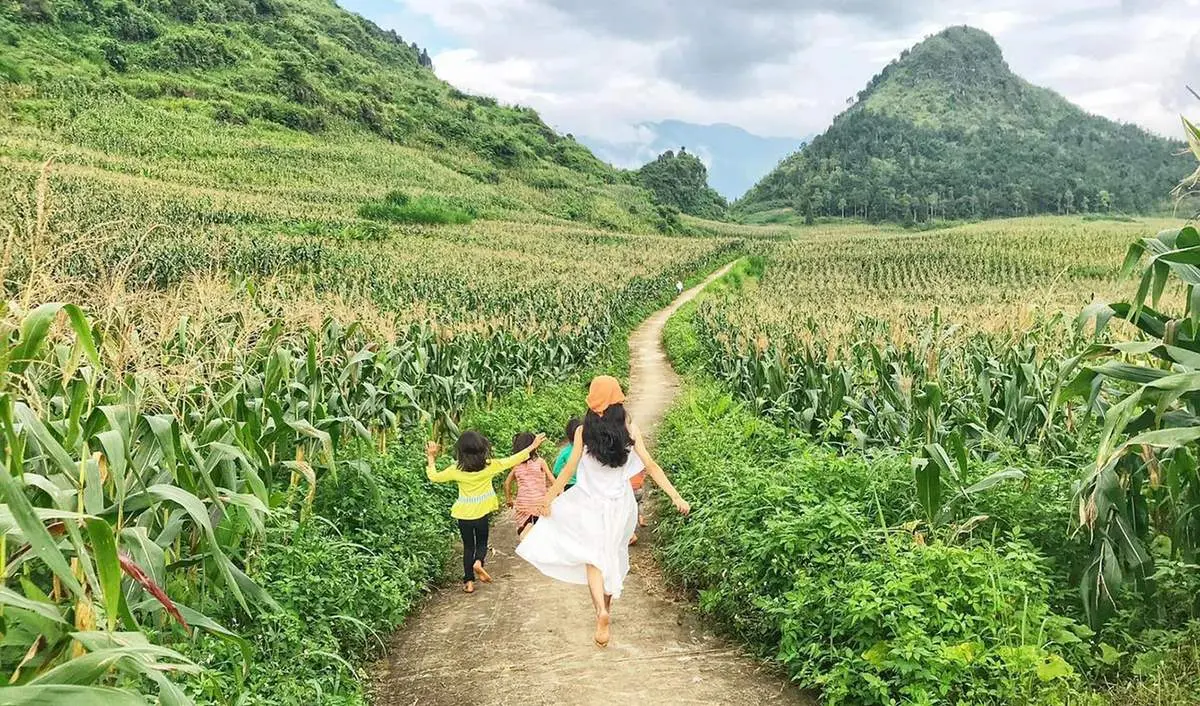 5 bản làng ở Hà Giang với cảnh sắc hữu tình tựa tranh vẽ