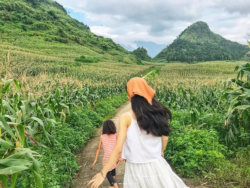 5 bản l&agrave;ng ở H&agrave; Giang với cảnh sắc hữu t&igrave;nh tựa tranh vẽ 2