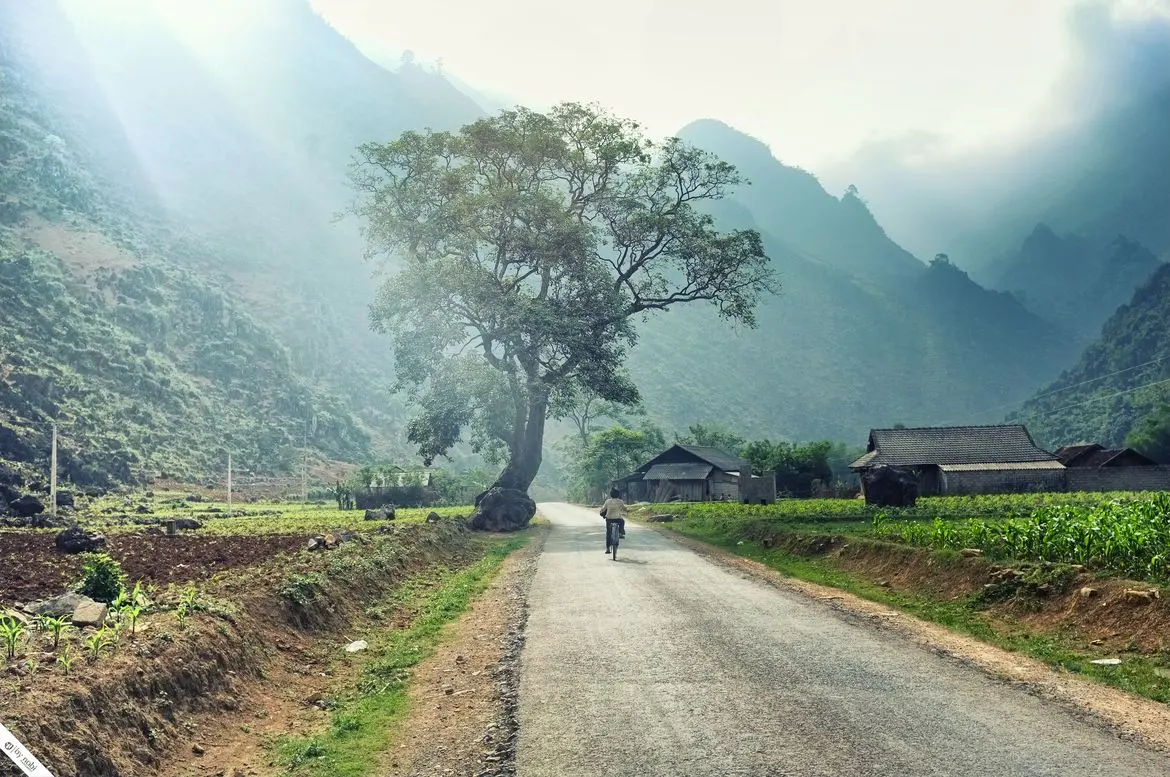 Bắc M&ecirc; H&agrave; Giang &ndash; V&ugrave;ng đất đẹp thơ mộng v&agrave; h&ugrave;ng vĩ 6