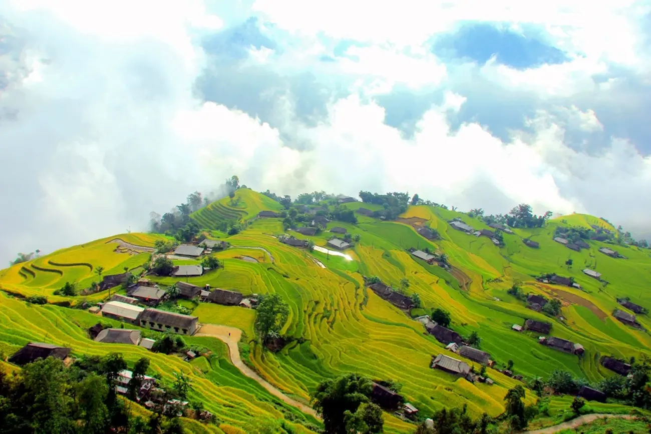 Bản Ph&ugrave;ng &ndash; Ho&agrave;ng Su Ph&igrave; n&ecirc;n thơ m&ugrave;a l&uacute;a ch&iacute;n 2