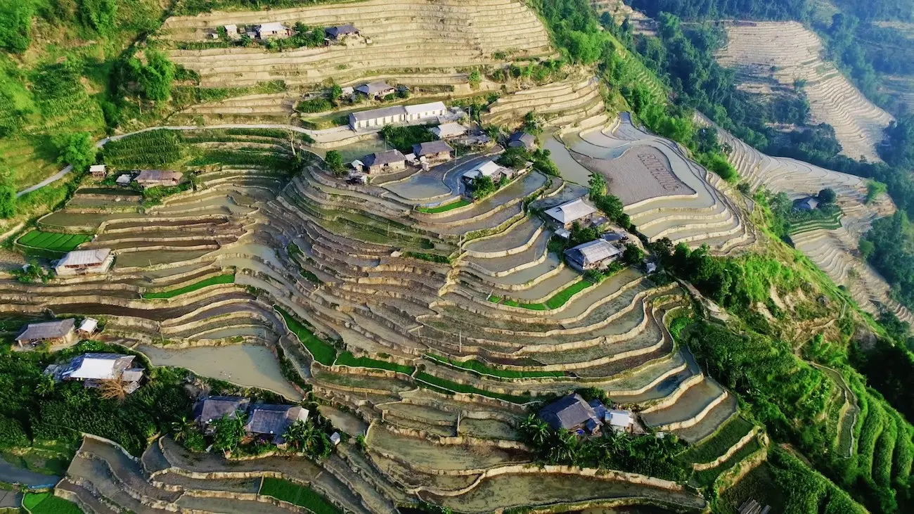 Bản Ph&ugrave;ng &ndash; Ho&agrave;ng Su Ph&igrave; n&ecirc;n thơ m&ugrave;a l&uacute;a ch&iacute;n 4