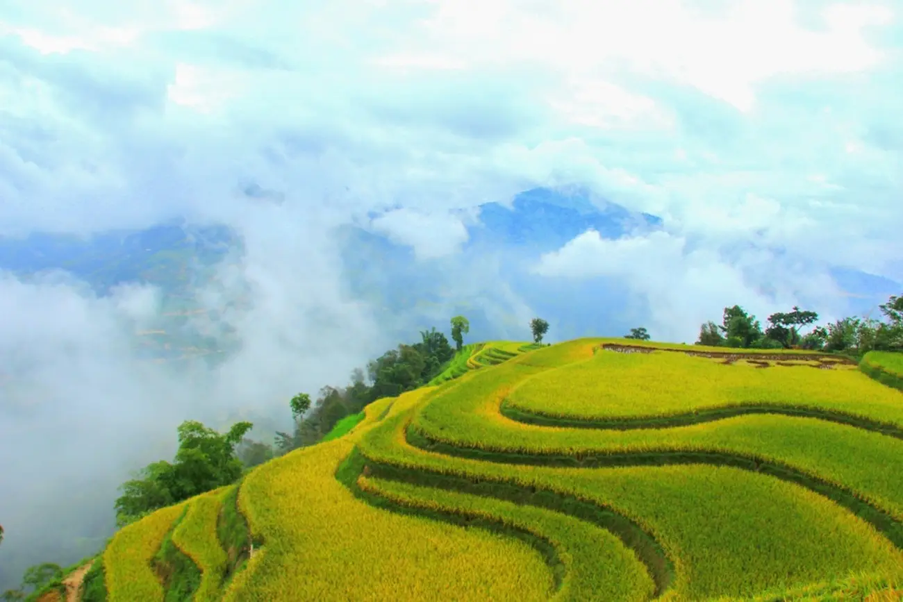 Bản Ph&ugrave;ng &ndash; Ho&agrave;ng Su Ph&igrave; n&ecirc;n thơ m&ugrave;a l&uacute;a ch&iacute;n 3