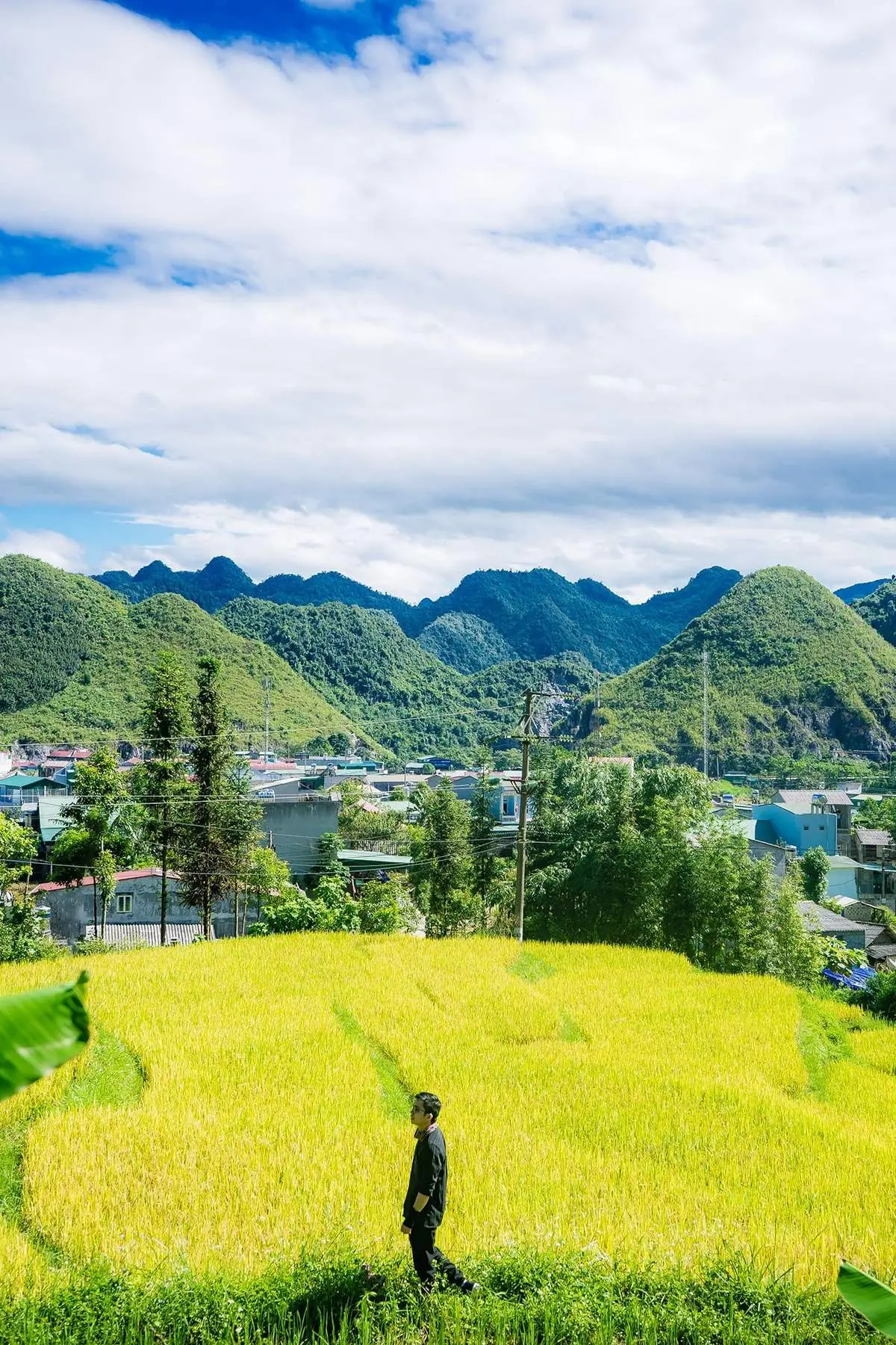 Con đường hạnh ph&uacute;c H&agrave; Giang &ndash; Cung đường huyền thoại nhất thế kỷ 20 15