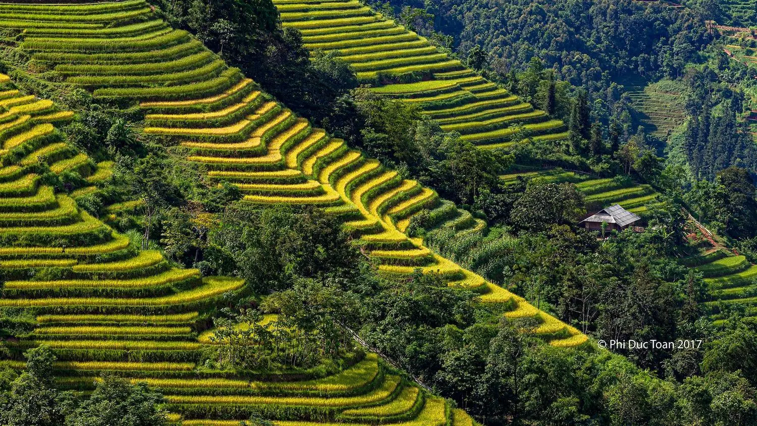 Đến Bản Luốc - S&aacute;n Sả Hồ để ngắm thửa ruộng bậc thang rộng nhất Ho&agrave;ng Su Ph&igrave; 2