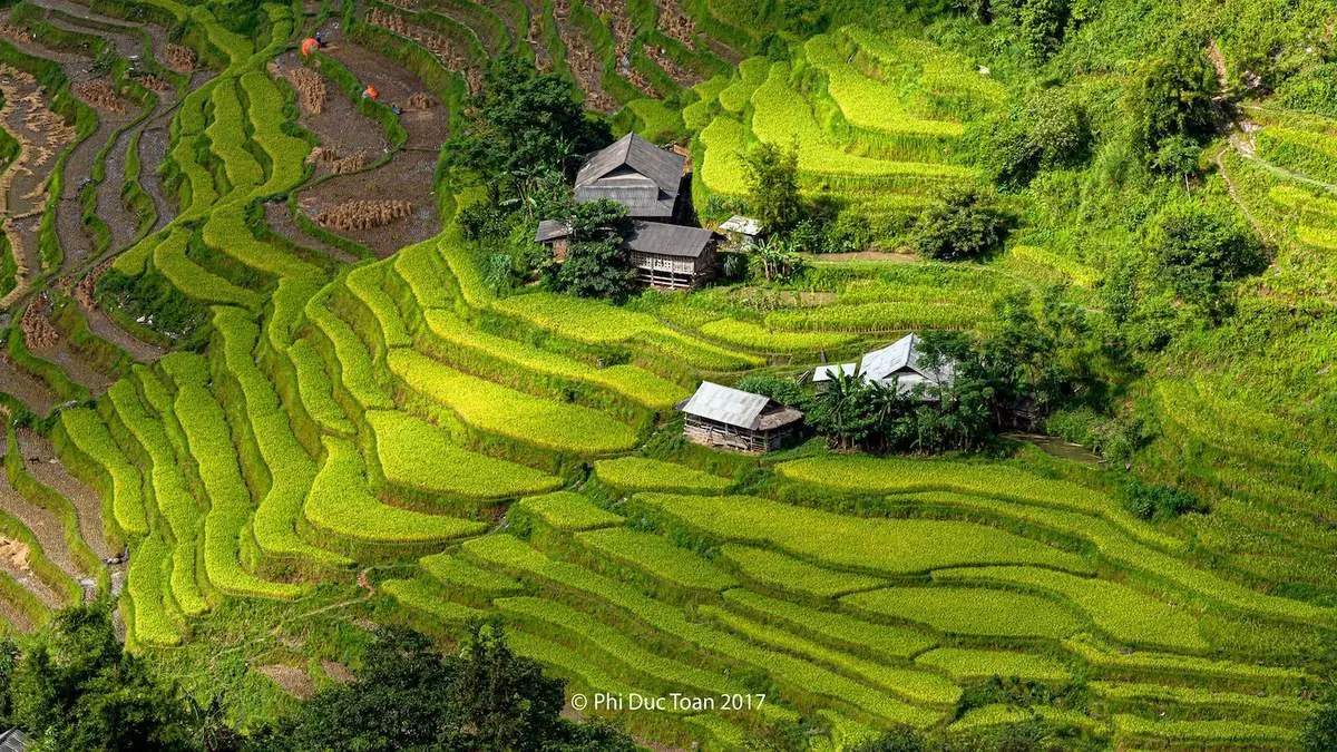 Đến Bản Luốc - S&aacute;n Sả Hồ để ngắm thửa ruộng bậc thang rộng nhất Ho&agrave;ng Su Ph&igrave; 5