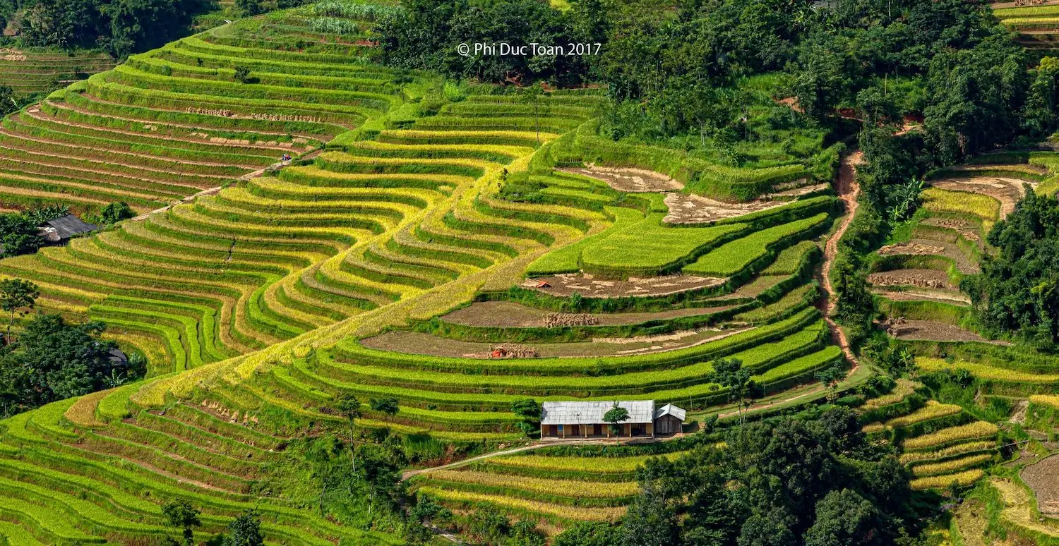 Đến Bản Luốc - S&aacute;n Sả Hồ để ngắm thửa ruộng bậc thang rộng nhất Ho&agrave;ng Su Ph&igrave; 9