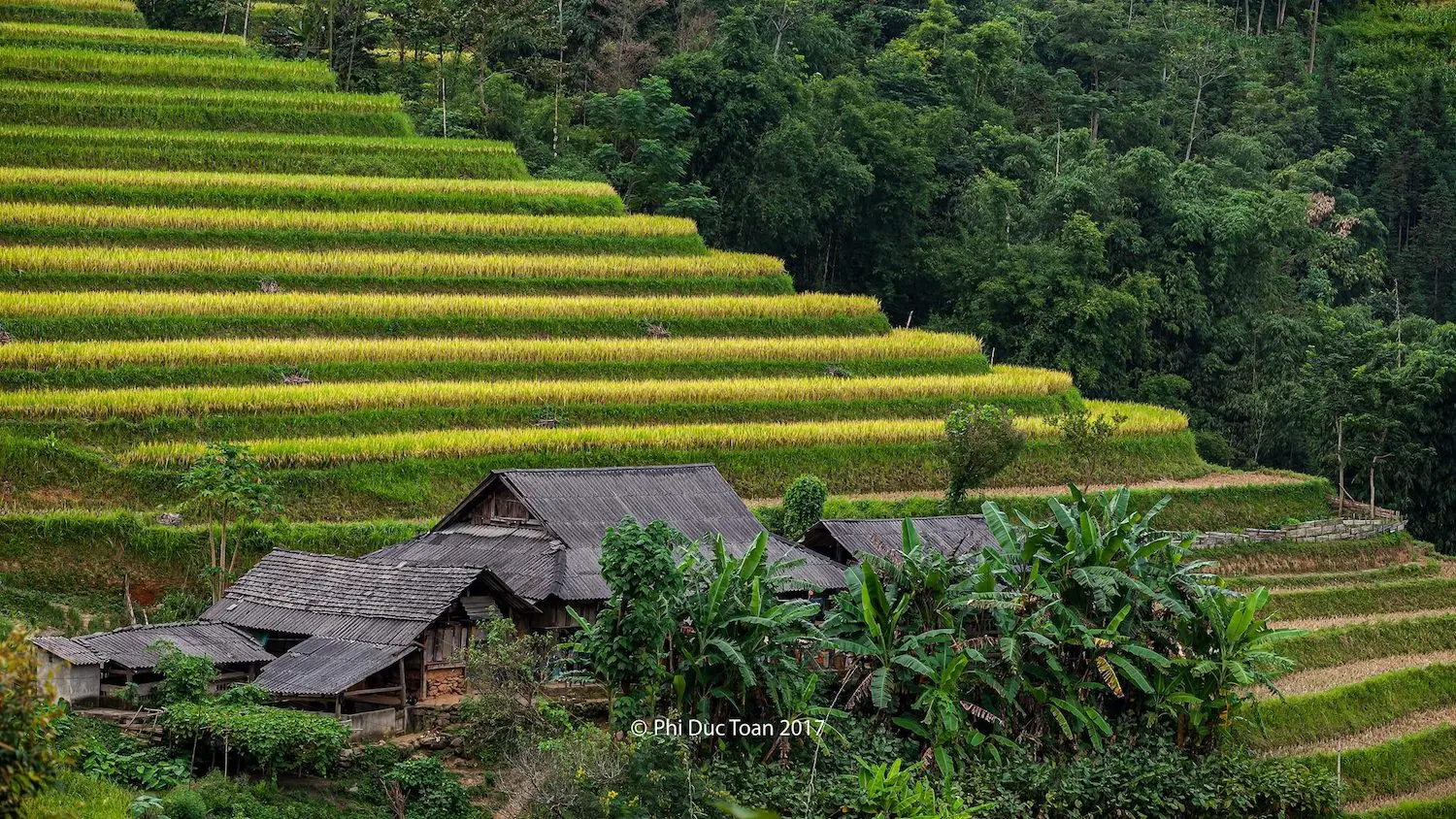 Đến Bản Luốc - S&aacute;n Sả Hồ để ngắm thửa ruộng bậc thang rộng nhất Ho&agrave;ng Su Ph&igrave; 8