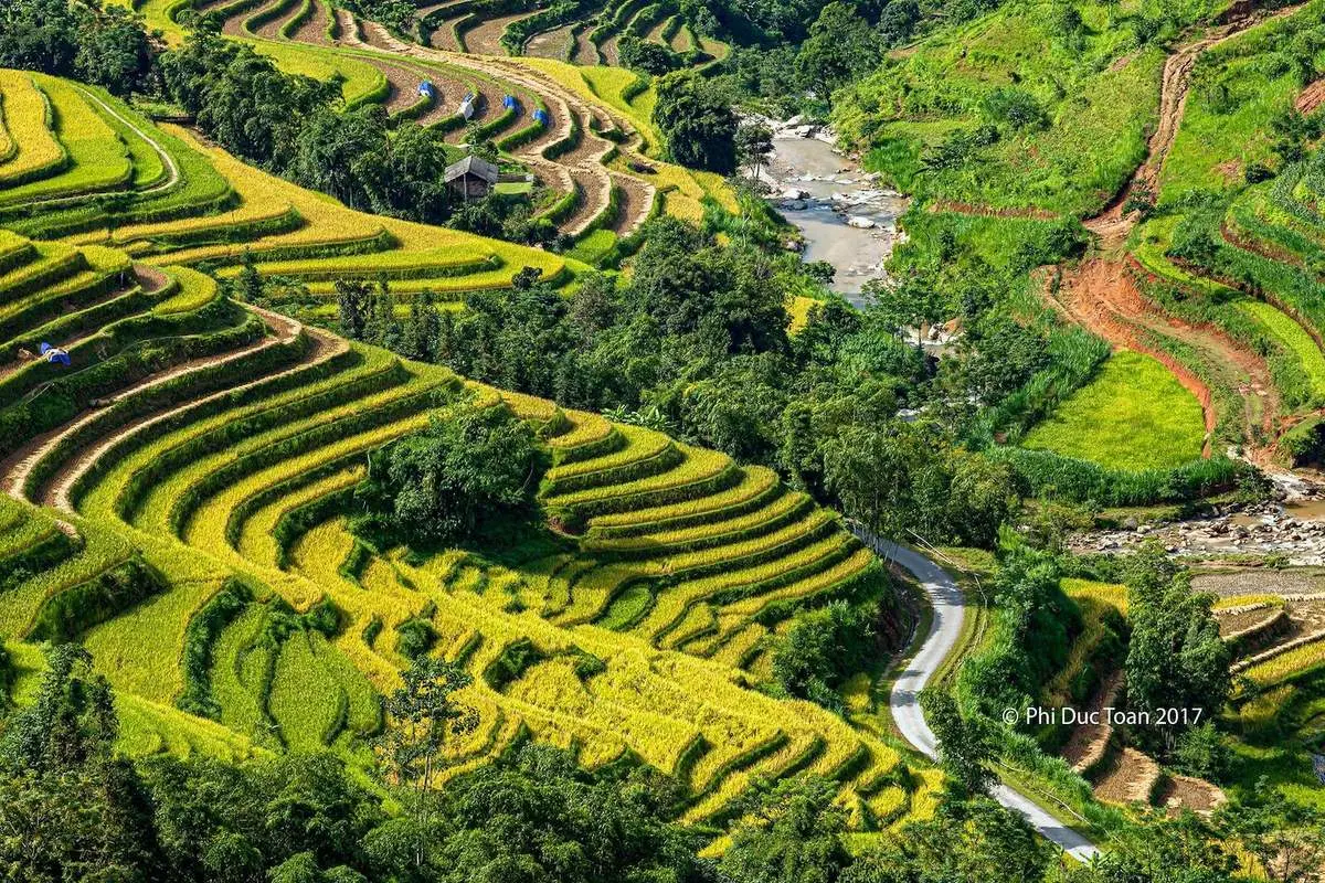 Đến Bản Luốc - S&aacute;n Sả Hồ để ngắm thửa ruộng bậc thang rộng nhất Ho&agrave;ng Su Ph&igrave; 3