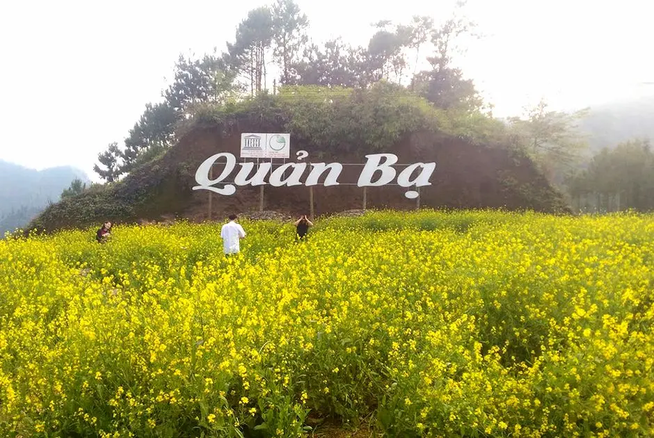 Đến cổng trời Quản Bạ H&agrave; Giang, lạc tr&ocirc;i giữa chốn ti&ecirc;n cảnh nh&acirc;n gian 3
