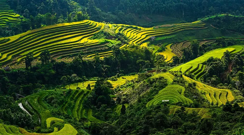 Đền thờ Gia Long - H&agrave; Giang - Nơi linh thi&ecirc;ng của người La Ch&iacute; 2