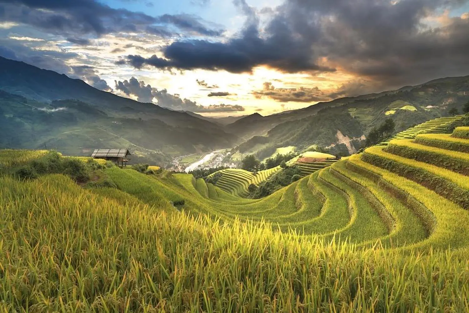 Đến Th&ocirc;ng Nguy&ecirc;n để l&ograve;ng an y&ecirc;n giữa trời Ho&agrave;ng Su Ph&igrave; 4