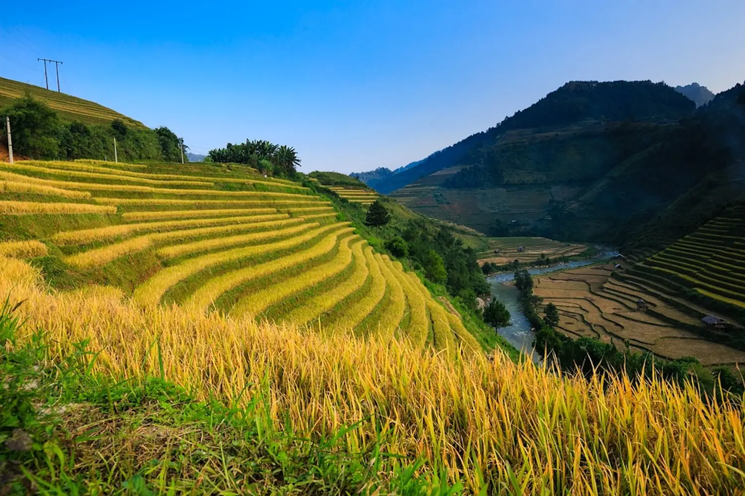 Đến Th&ocirc;ng Nguy&ecirc;n để l&ograve;ng an y&ecirc;n giữa trời Ho&agrave;ng Su Ph&igrave; 5