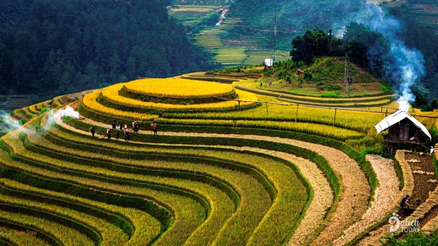 Đến Th&ocirc;ng Nguy&ecirc;n để l&ograve;ng an y&ecirc;n giữa trời Ho&agrave;ng Su Ph&igrave; 3
