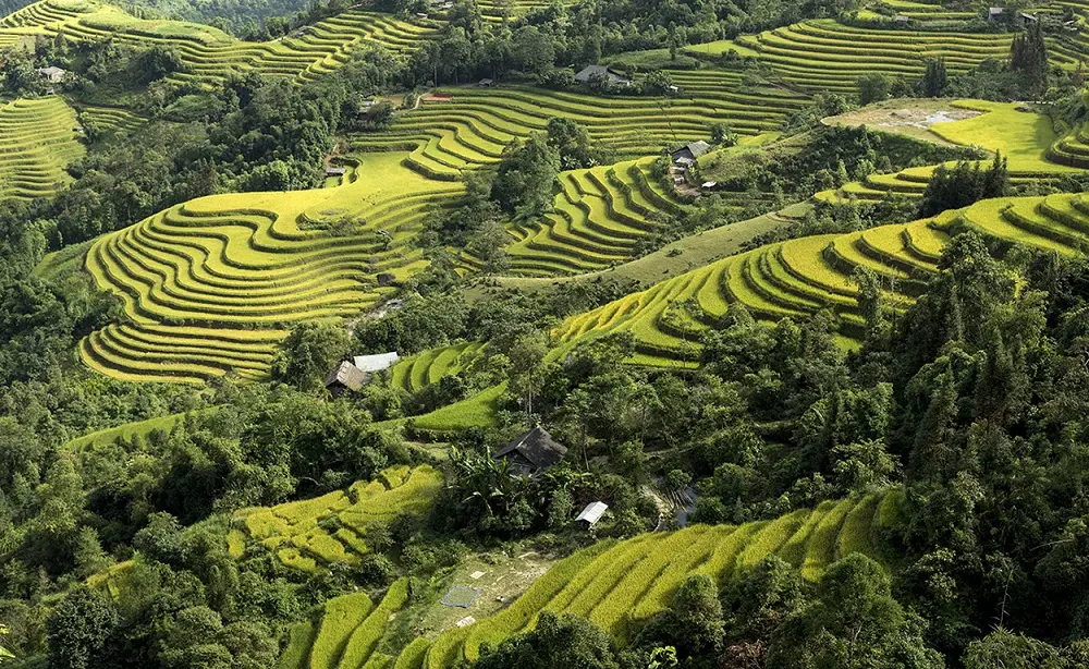 Di sản ruộng bậc thang Ho&agrave;ng Su Ph&igrave; - Kiệt t&aacute;c đất H&agrave; Giang 2