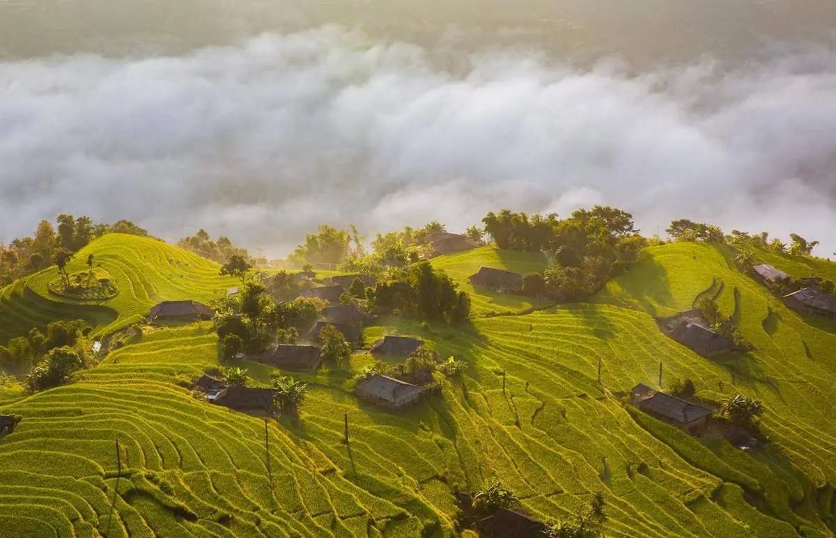 Du lịch Vị Xuy&ecirc;n - H&agrave; Giang: Nơi hoa nở tr&ecirc;n sỏi đ&aacute; kh&ocirc; cằn 2