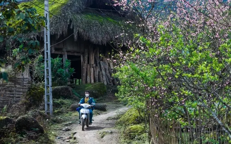 Gh&eacute; bản X&agrave; Ph&igrave;n kh&aacute;m ph&aacute; vẻ đẹp l&agrave;ng qu&ecirc; thanh b&igrave;nh 5