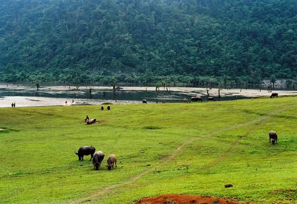 Hồ Noong - Chốn bồng lai giữa l&ograve;ng H&agrave; Giang 10