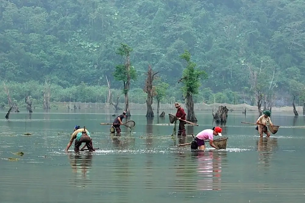 Hồ Noong - Chốn bồng lai giữa l&ograve;ng H&agrave; Giang 8