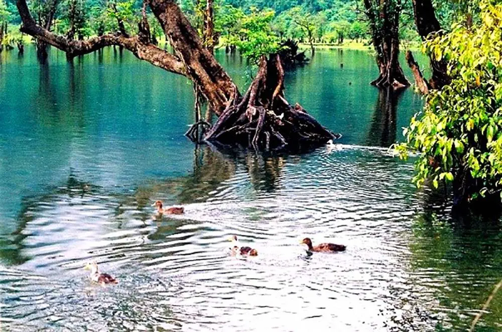 Hồ Noong - Chốn bồng lai giữa l&ograve;ng H&agrave; Giang 9