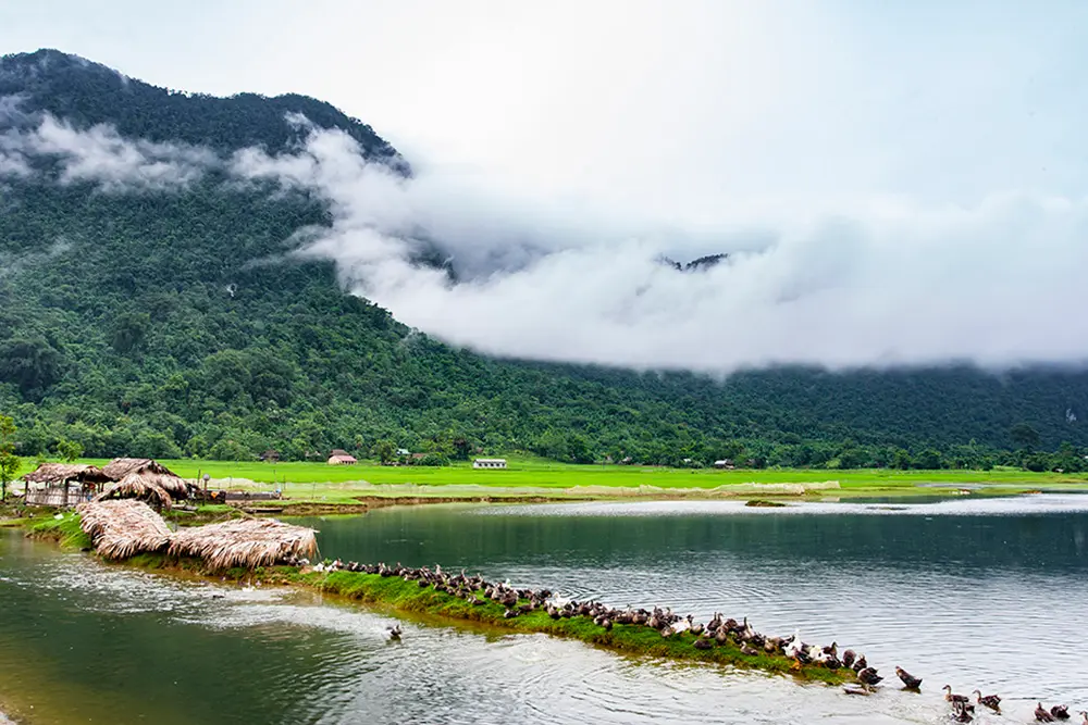 Hồ Noong - Chốn bồng lai giữa l&ograve;ng H&agrave; Giang 5
