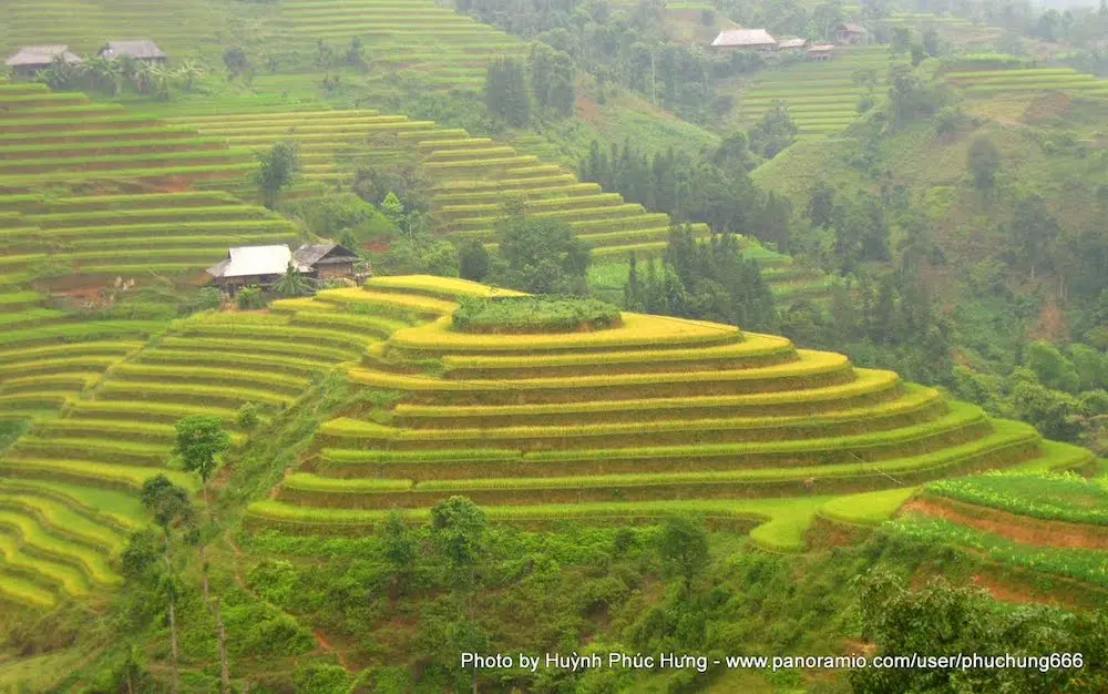 Hồ Thầu &ndash; Mu&ocirc;n thuở vẻ đẹp ruộng bậc thang tại Ho&agrave;ng Su Ph&igrave; 5