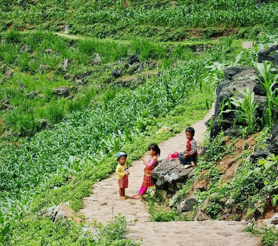 Kh&aacute;m ph&aacute; động L&ugrave;ng Kh&uacute;y mu&ocirc;n m&agrave;u mu&ocirc;n vẻ - Đệ nhất động H&agrave; Giang 6