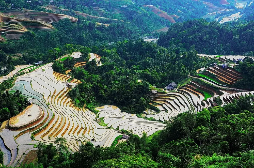 Kh&aacute;m ph&aacute; Ho&agrave;ng Su Ph&igrave; m&ugrave;a nước đổ với cảnh sắc thi&ecirc;n nhi&ecirc;n tuyệt đẹp 2