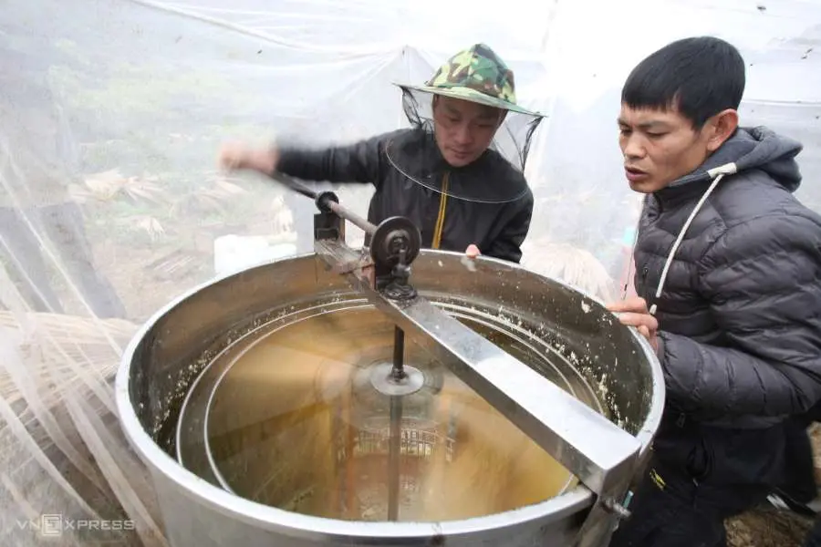 Kh&aacute;m ph&aacute; m&ugrave;a mật ong bạc h&agrave; H&agrave; Giang tr&ecirc;n cao nguy&ecirc;n đ&aacute; Đồng Văn 4