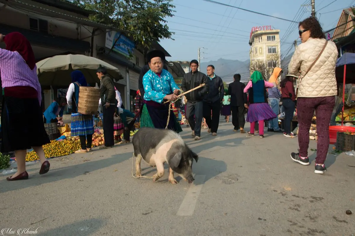 Mộc mạc Chợ phi&ecirc;n M&egrave;o Vạc nơi cao nguy&ecirc;n đ&aacute; Đồng Văn 10