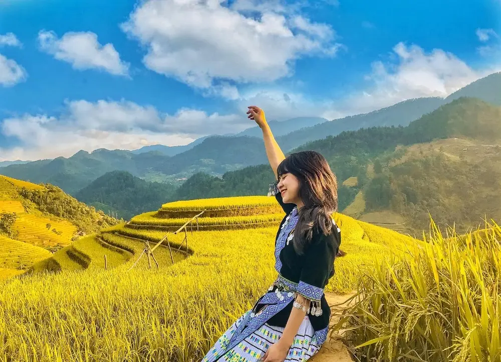 M&ugrave;a v&agrave;ng Ho&agrave;ng Su Ph&igrave; - N&eacute;t đẹp b&igrave;nh y&ecirc;n giữa chốn cao nguy&ecirc;n 5