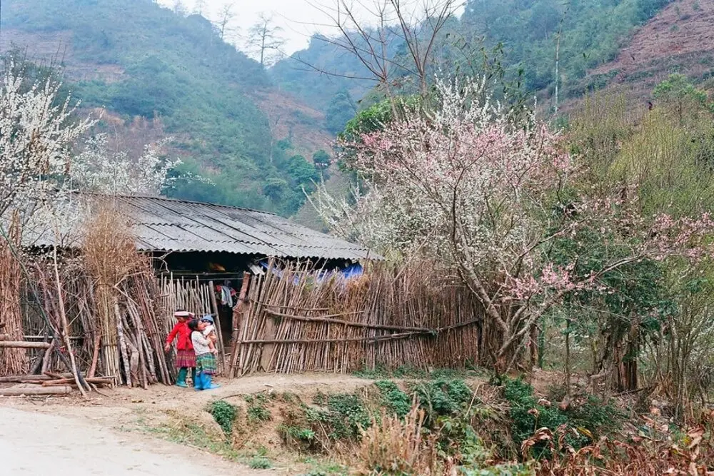 Phố C&aacute;o H&agrave; Giang &ndash; Chi&ecirc;m ngưỡng n&eacute;t đẹp hoang sơ của xứ Đồng Văn 3