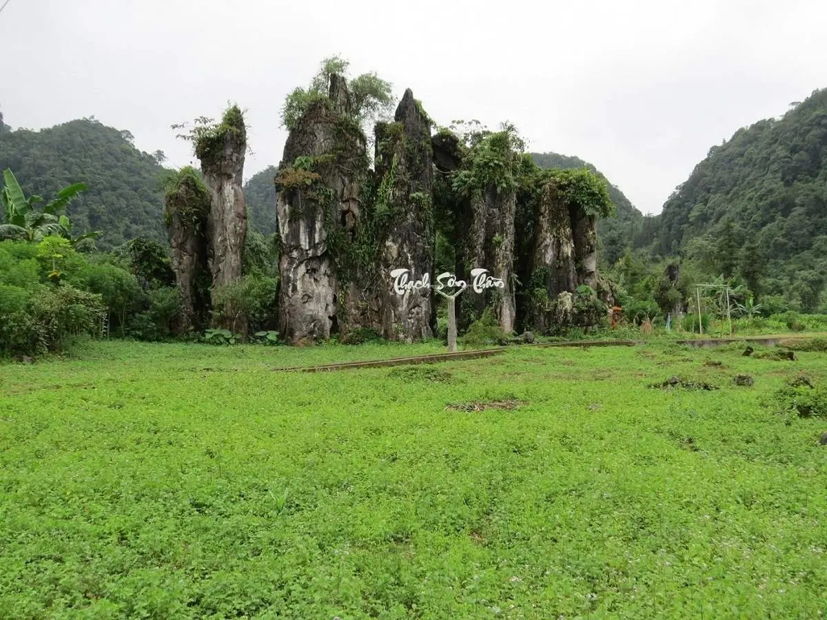 Săn m&ugrave;a hoa tam gi&aacute;c mạc ở Thạch Sơn Thần H&agrave; Giang kỳ b&iacute; 2