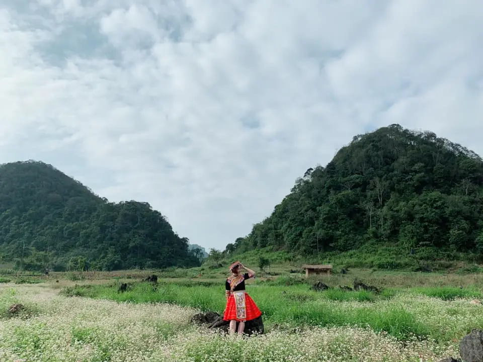 Săn m&ugrave;a hoa tam gi&aacute;c mạc ở Thạch Sơn Thần H&agrave; Giang kỳ b&iacute; 6