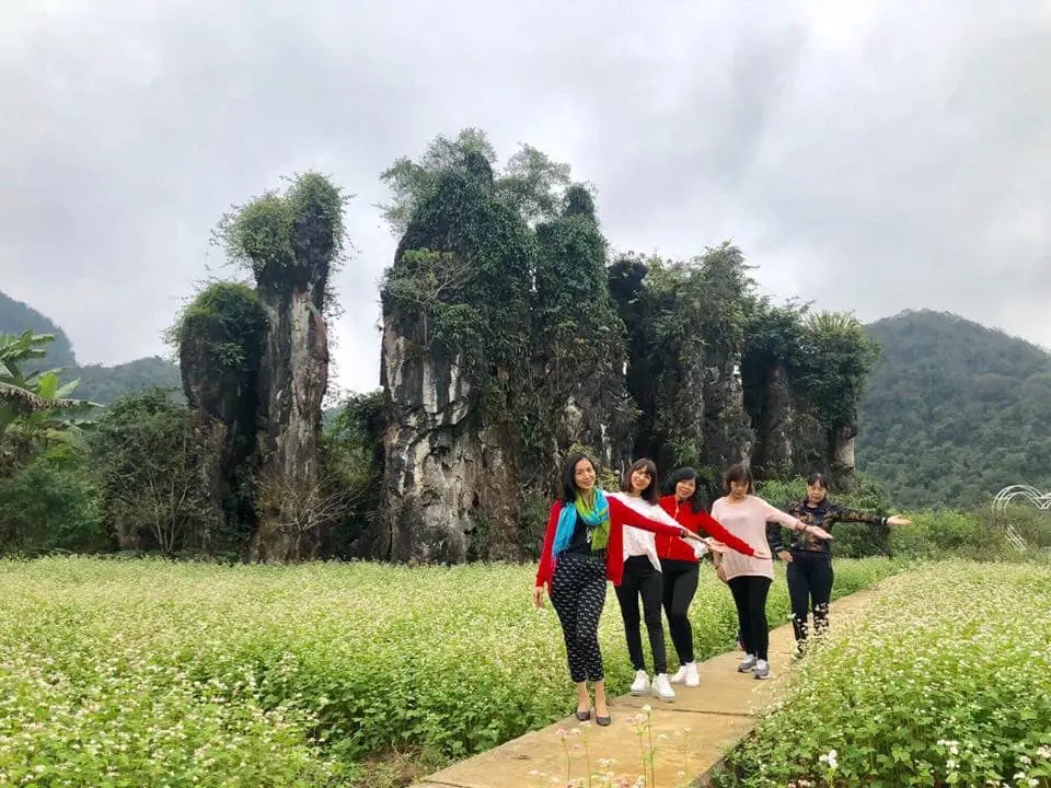 Săn m&ugrave;a hoa tam gi&aacute;c mạc ở Thạch Sơn Thần H&agrave; Giang kỳ b&iacute; 3