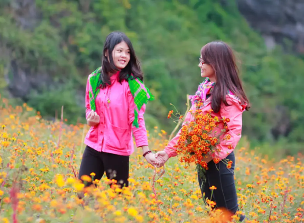 Thương nhớ m&ugrave;a hoa c&uacute;c dại H&agrave; Giang đẹp đắm say l&ograve;ng người 8