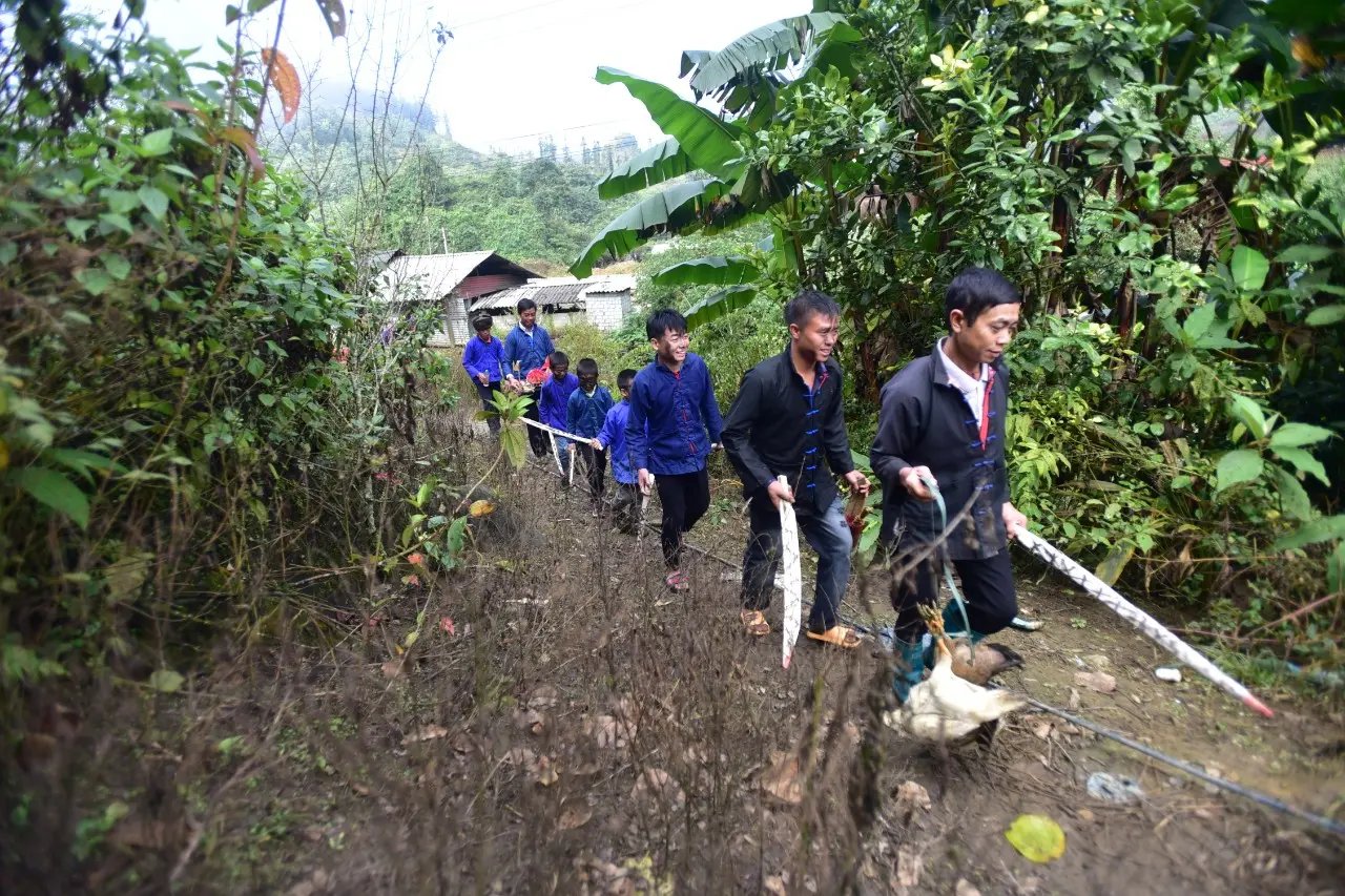 T&igrave;m hiểu về người Ph&ugrave; L&aacute; ở Ho&agrave;ng Su Ph&igrave; - H&agrave; Giang 3