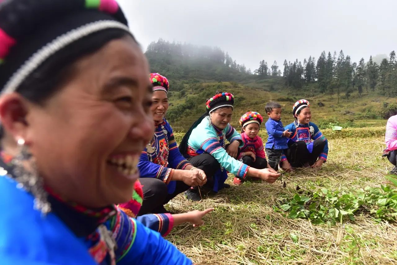 T&igrave;m hiểu về người Ph&ugrave; L&aacute; ở Ho&agrave;ng Su Ph&igrave; - H&agrave; Giang 4