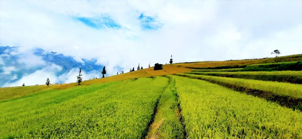 Trekking Suối Thầu - H&agrave;nh tr&igrave;nh kh&aacute;m ph&aacute; thảo nguy&ecirc;n đẹp nhất H&agrave; Giang 3