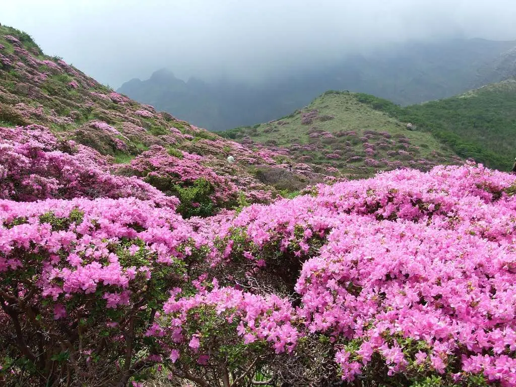 Trekking T&acirc;y C&ocirc;n Lĩnh - H&agrave;nh tr&igrave;nh tận hưởng cảm gi&aacute;c l&agrave;m chủ đất trời 4