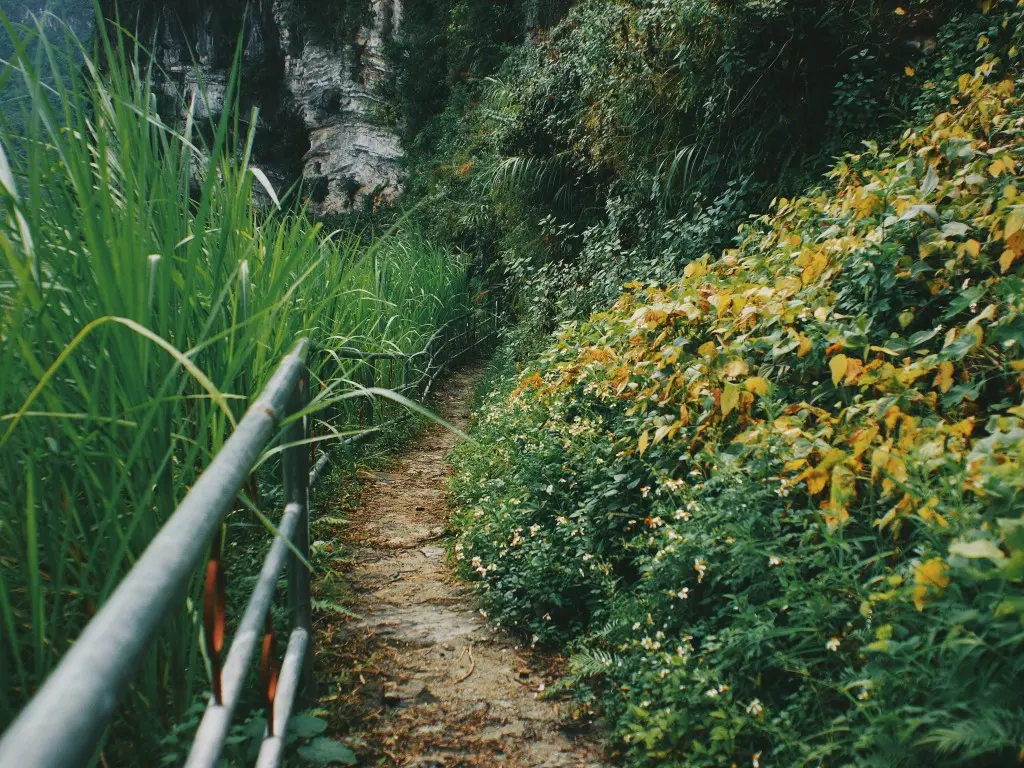 Trekking V&aacute;ch Đ&aacute; Thần - Chinh phục 'Tầng tr&ecirc;n của Đệ nhất h&ugrave;ng quan ph&iacute;a Bắc' 5