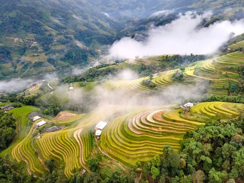 Di sản ruộng bậc thang Hoàng Su Phì - Kiệt tác đất Hà Giang