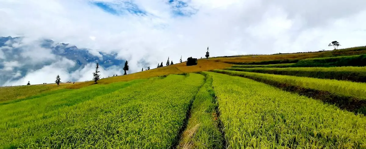 Trekking Suối Thầu - Hành trình khám phá thảo nguyên đẹp nhất Hà Giang