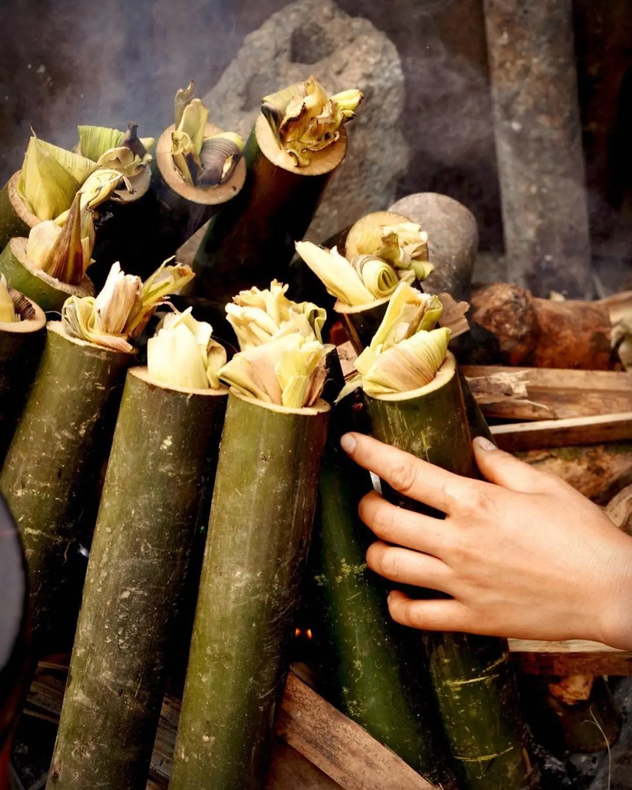 Cơm lam Bắc M&ecirc; &ndash; M&oacute;n ngon giản dị của v&ugrave;ng cao Đ&ocirc;ng Bắc 4