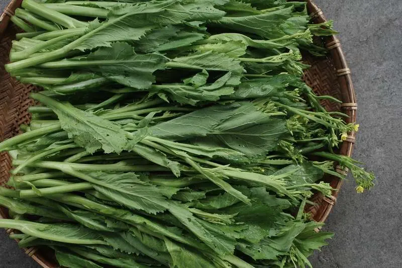 L&agrave;m sao qu&ecirc;n được l&uacute;c thớ lưỡi cay nồng với m&oacute;n rau cải cay H&agrave; Giang 6