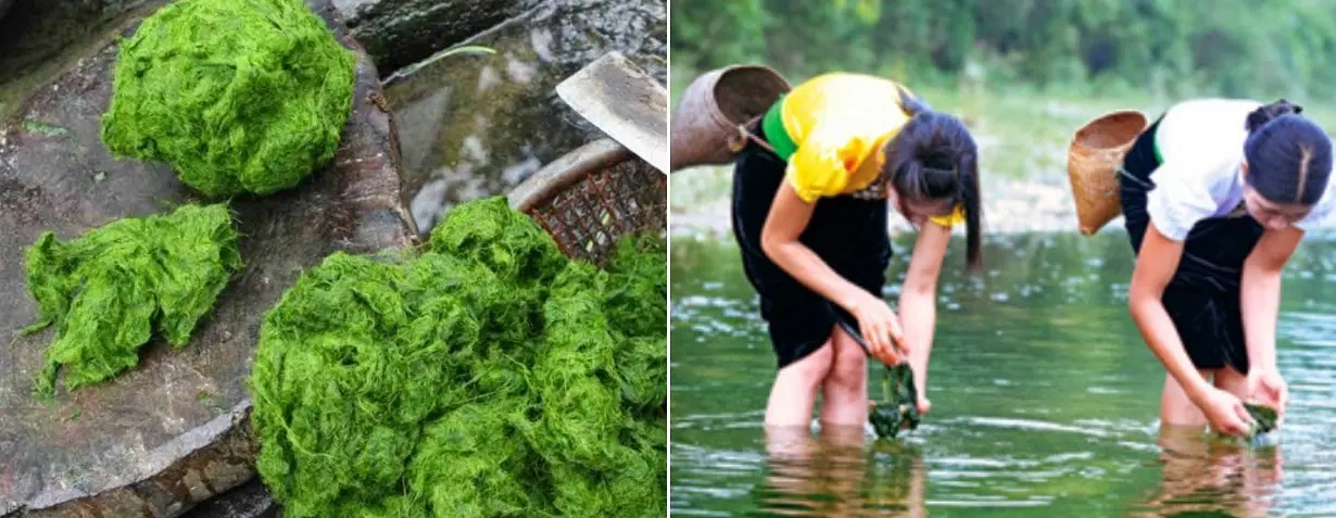 Say l&ograve;ng với vị ngon lạ miệng của r&ecirc;u nướng H&agrave; Giang 4
