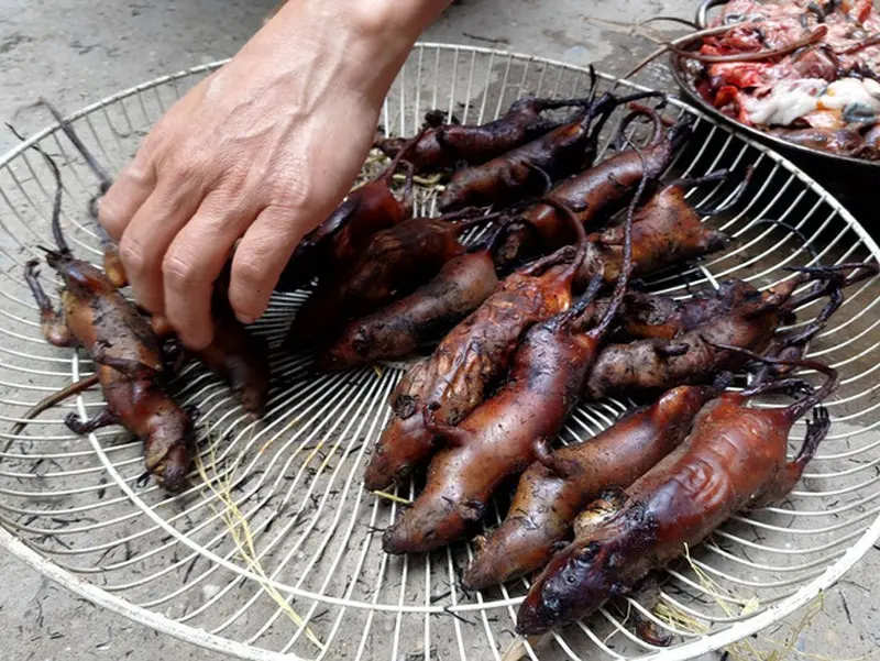 Về H&agrave; Giang, nhớ thưởng thức đặc sản thịt chuột La Ch&iacute; khiến bao người kh&oacute;c th&eacute;t 2